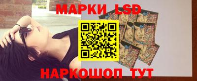 a pvp Кингисепп