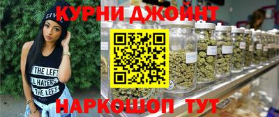 гидра Кинель