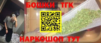 гидра Кинель