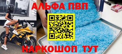 a pvp Кингисепп