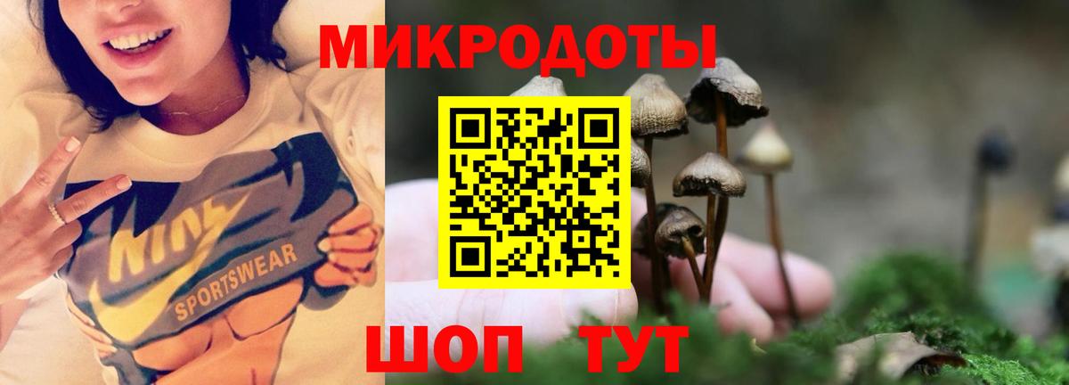 Псилоцибиновые грибы Psilocybine cubensis  Вход с VPN  даркнет сайт  Электрогорск 